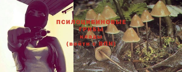 ешки Армянск